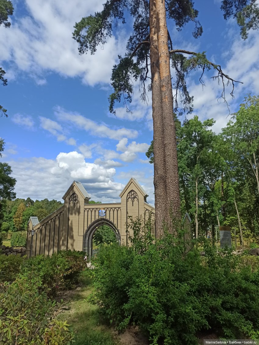 Очарование парка Монрепо — Туризм и путешествия: фотоотчеты из поездок (фото 3)