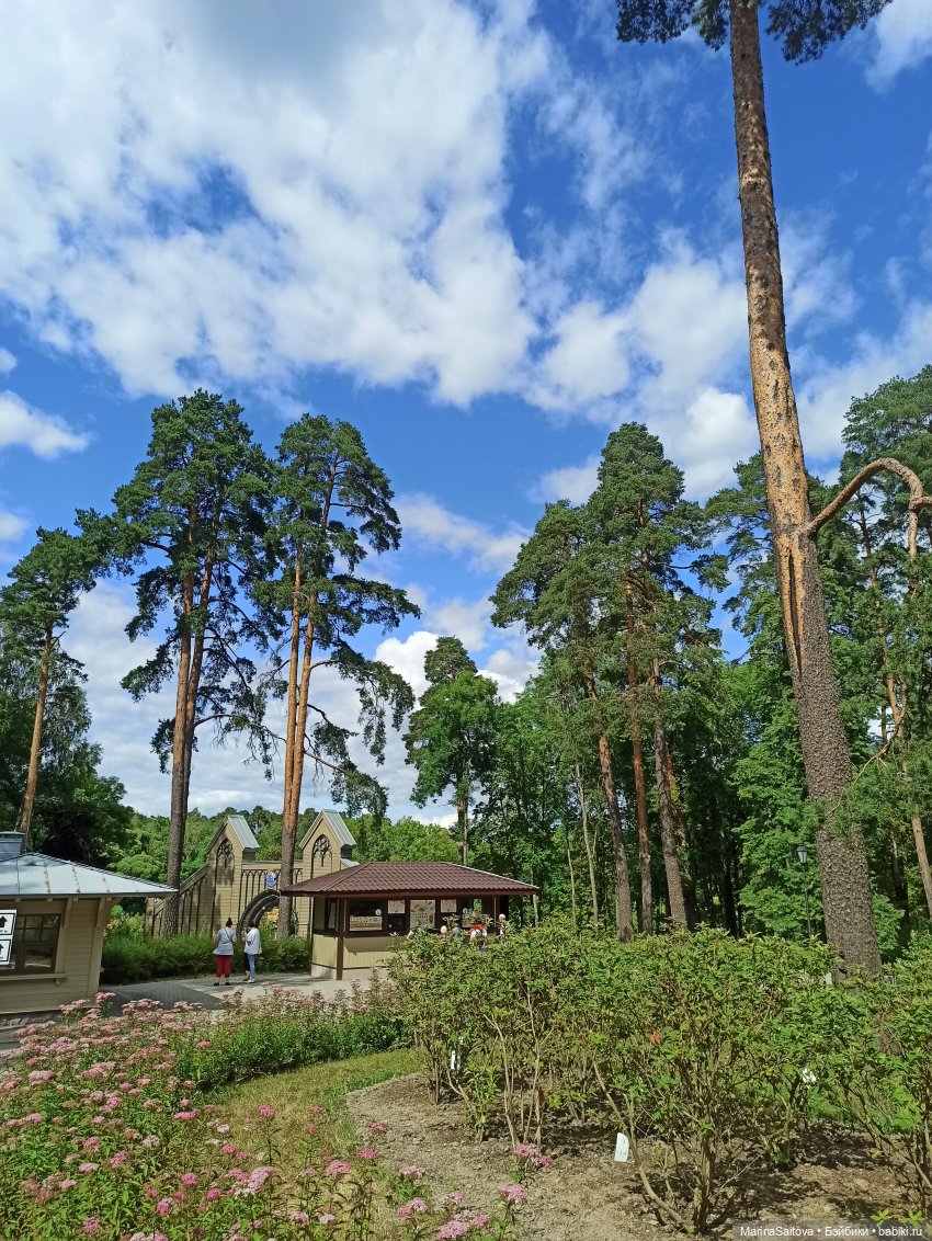 Очарование парка Монрепо — Туризм и путешествия: фотоотчеты из поездок (фото 2)