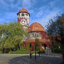 В поисках янтаря