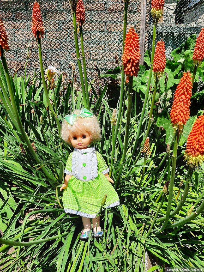 Марина — Игровые куклы разных производителей (Разное): редкие бренды (фото 9)
