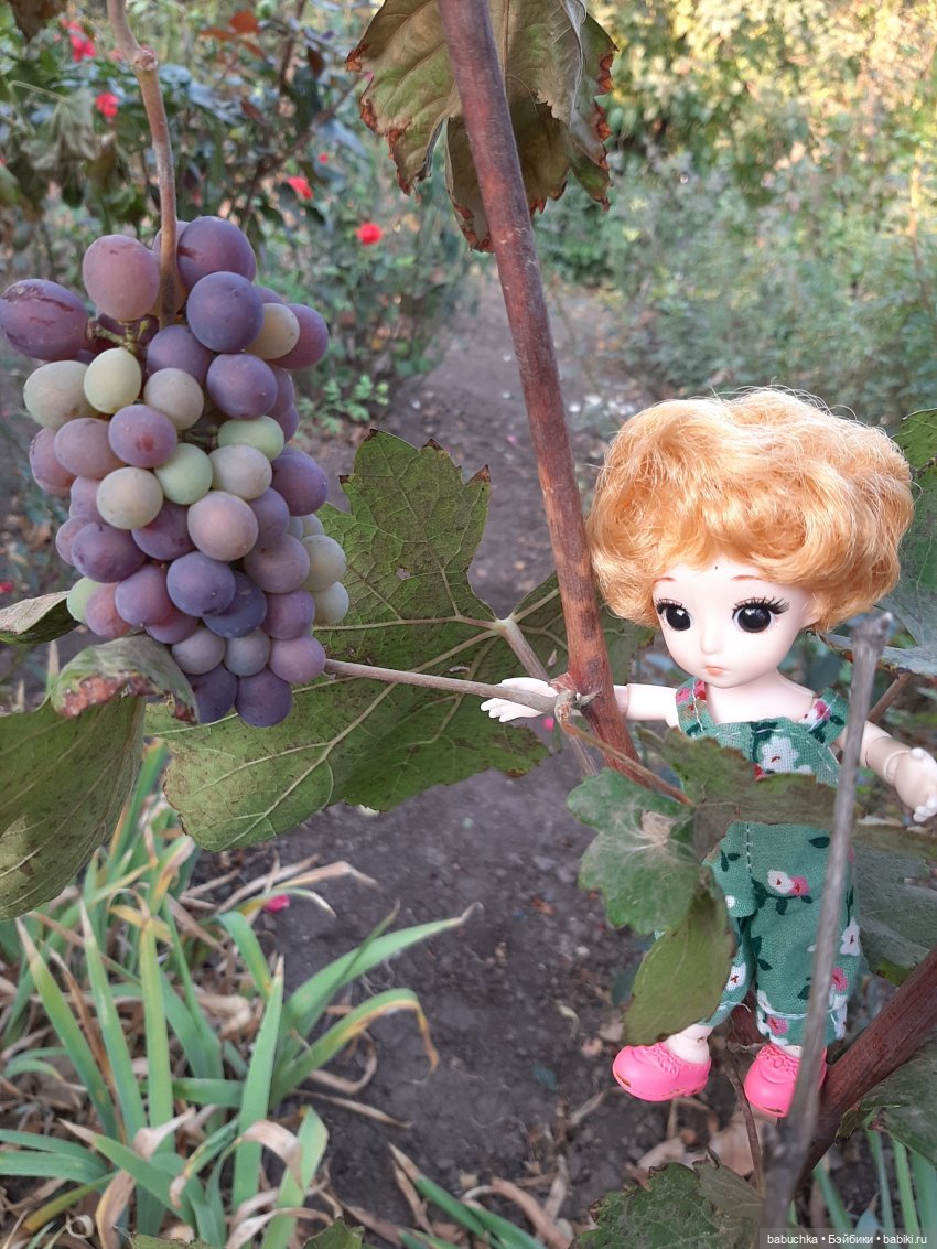 Теньтик — Куклы Baboliy (Баболи