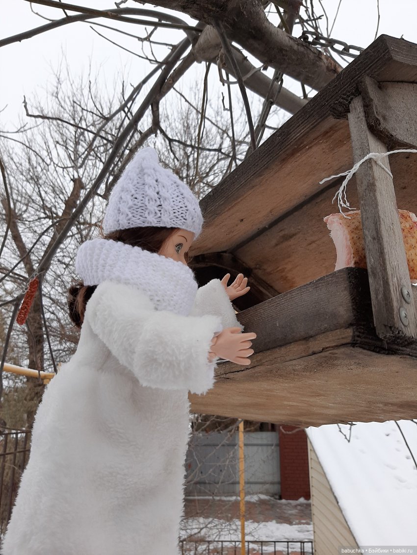 Мороз не велик, а стоять не велит (фото 4)