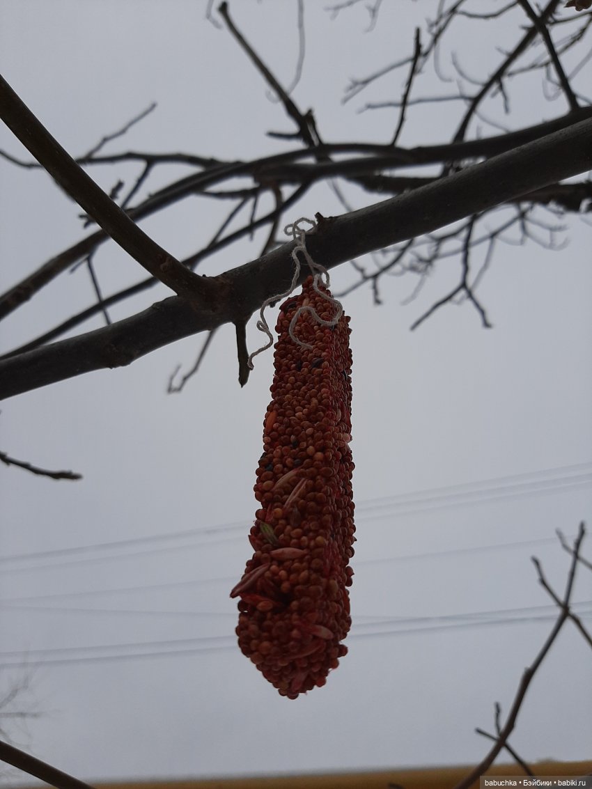 Мороз не велик, а стоять не велит