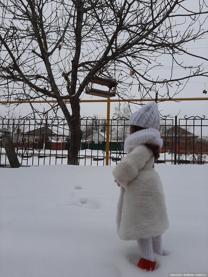 Мороз не велик, а стоять не велит (фото 2)