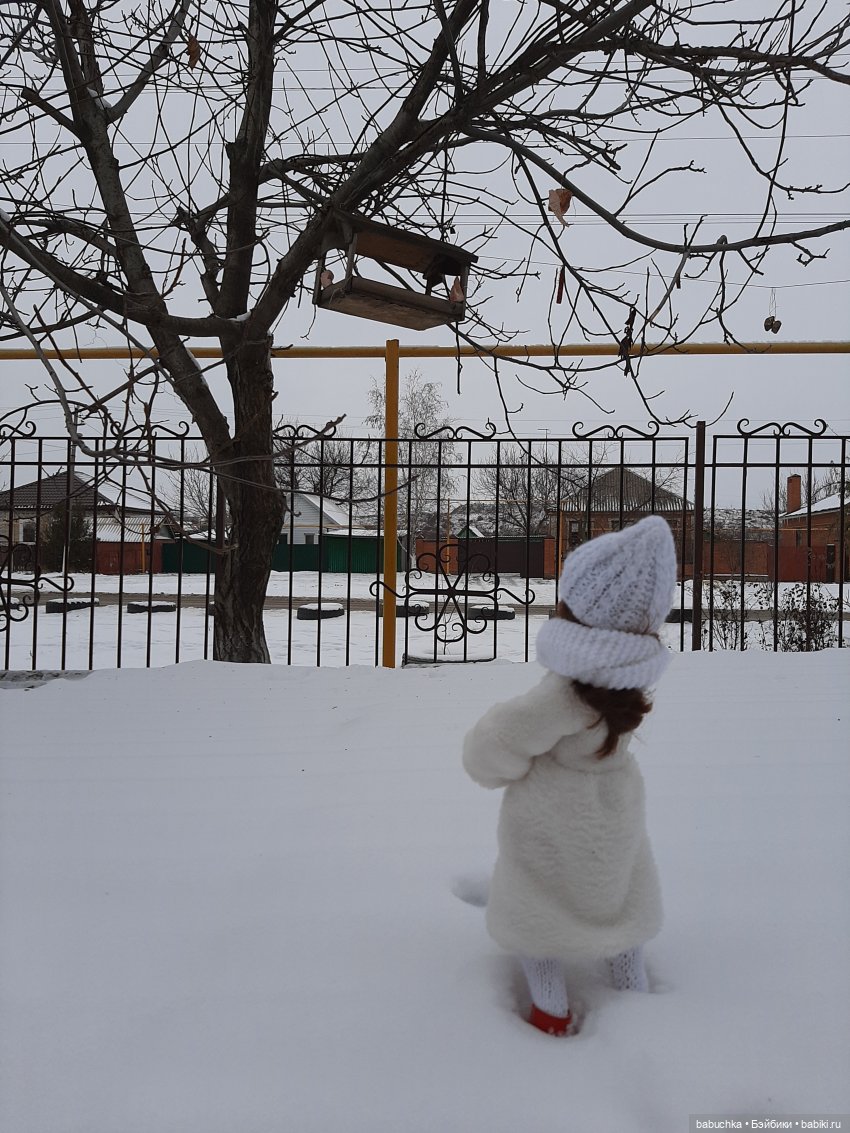 Мороз не велик, а стоять не велит (фото 3)