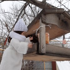 Мороз не велик, а стоять не велит