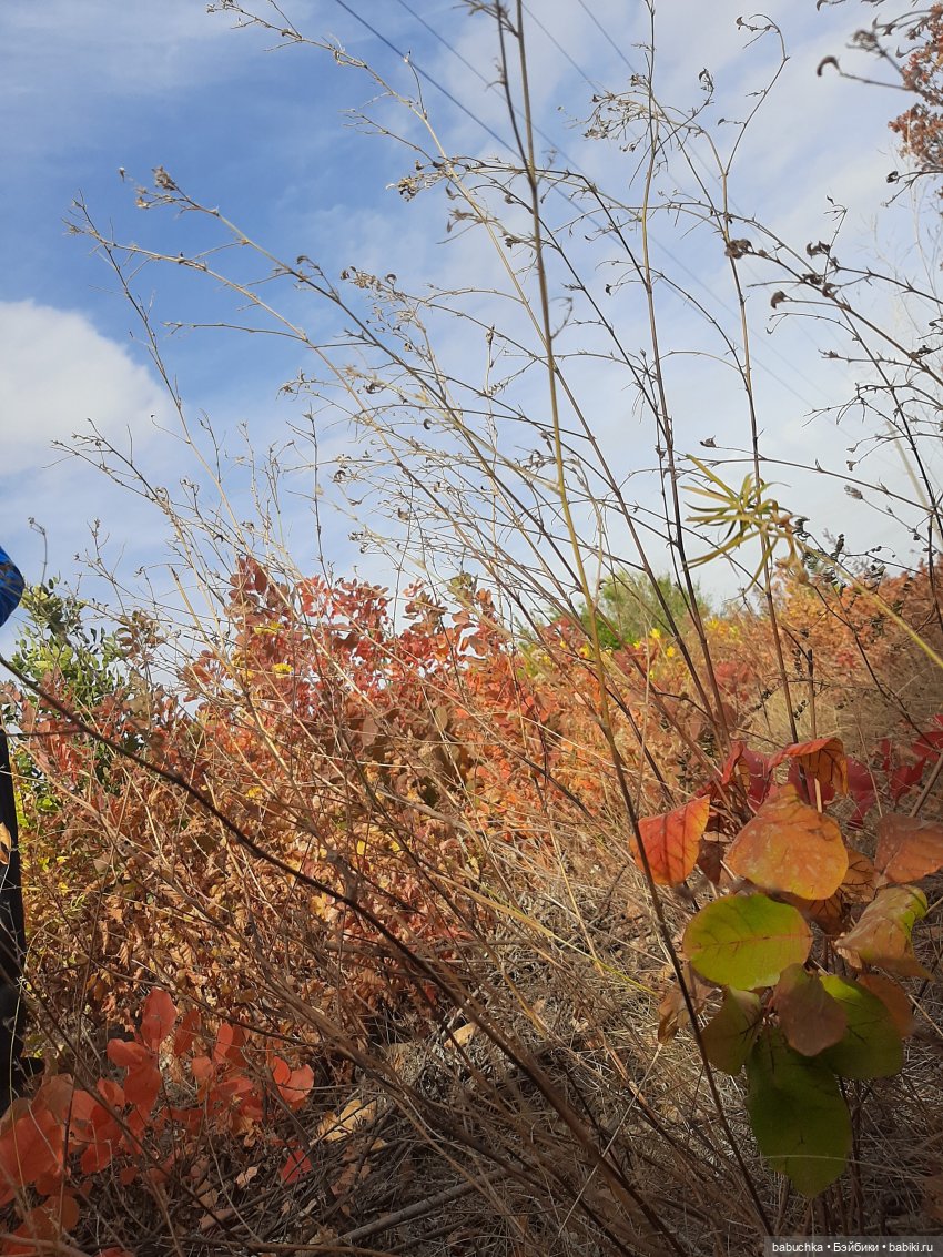 Велопрогулки — Игровые куклы разных производителей (Разное): редкие бренды