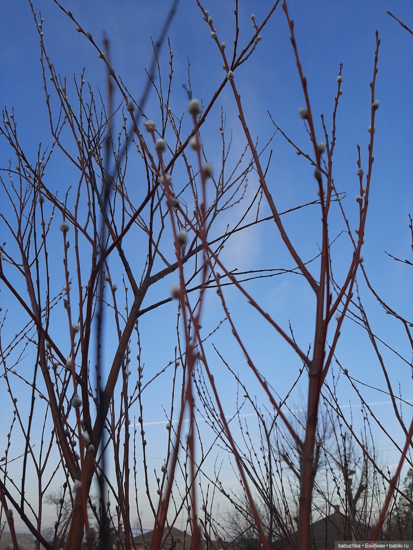 Портниха — Куклы Gotz (Готц): Ханна