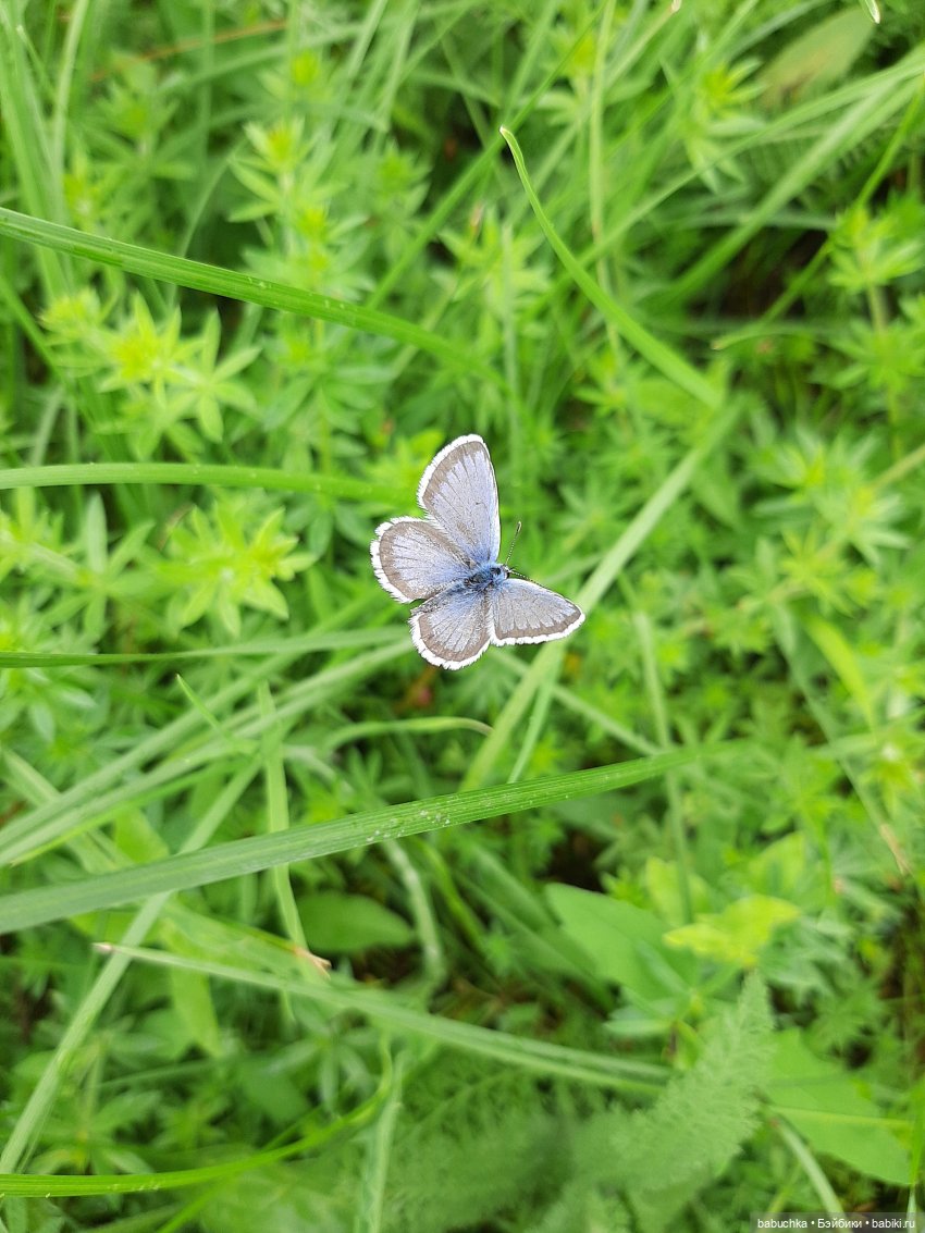 Дождь. Встреча — Красивая природа и цветы: фото пейзажей (фото 10)