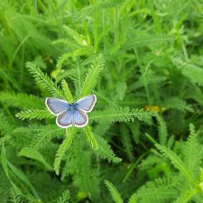 Дождь. Встреча