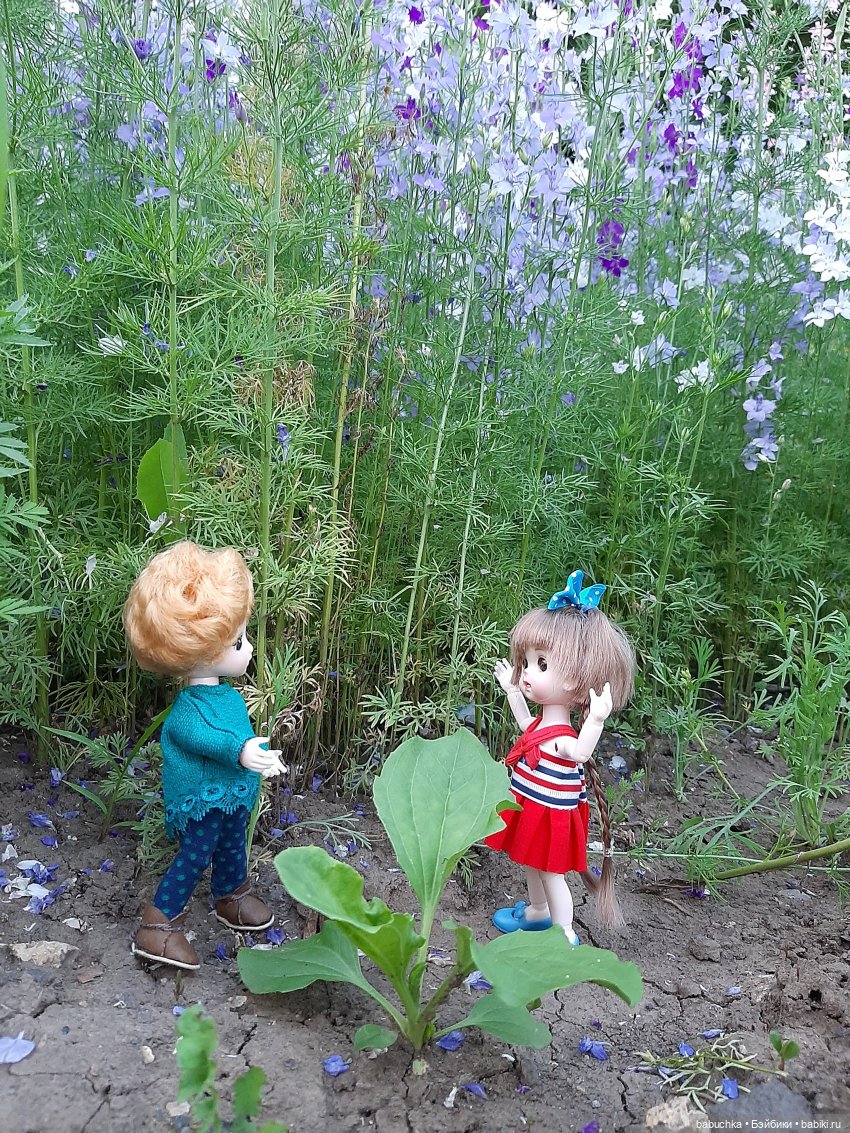 И сердце бедное моё — Куклы Baboliy (Баболи