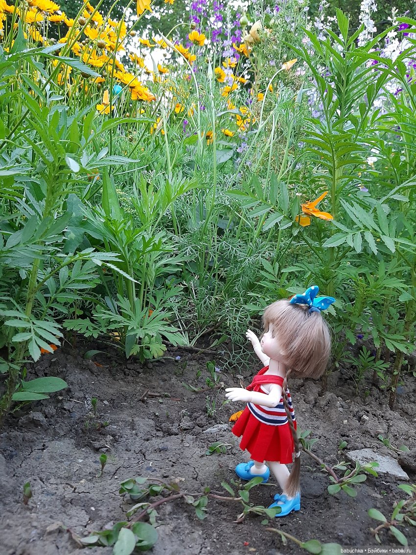 И сердце бедное моё — Куклы Baboliy (Баболи (фото 10)