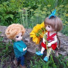 И сердце бедное моё