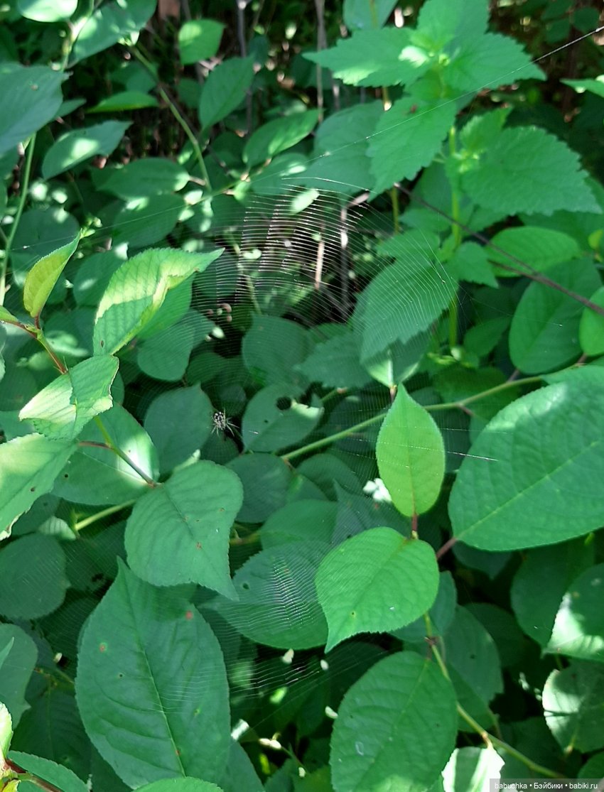 Гибридик ростом 6 см — ООАК и репейнт игровых кукол: Bratz