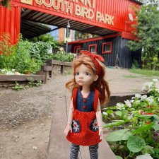 Как Милаша в парк  птиц "Малинки" ездила