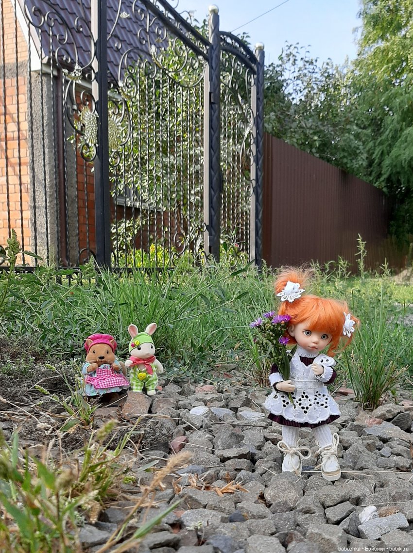 Первый день новой жизни Вики (фото 6)