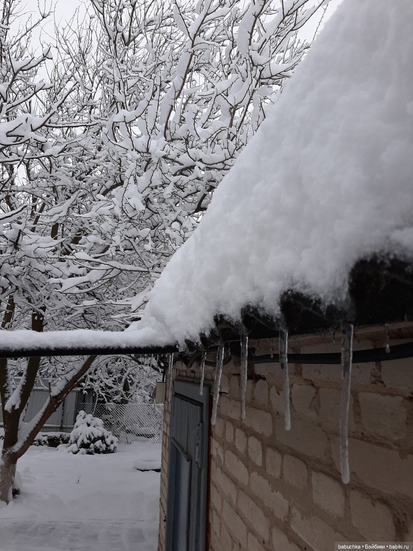 Зимние фото и эпизоды из жизни кукол (фото 2)