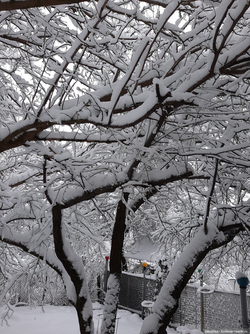 Зимние фото и эпизоды из жизни кукол
