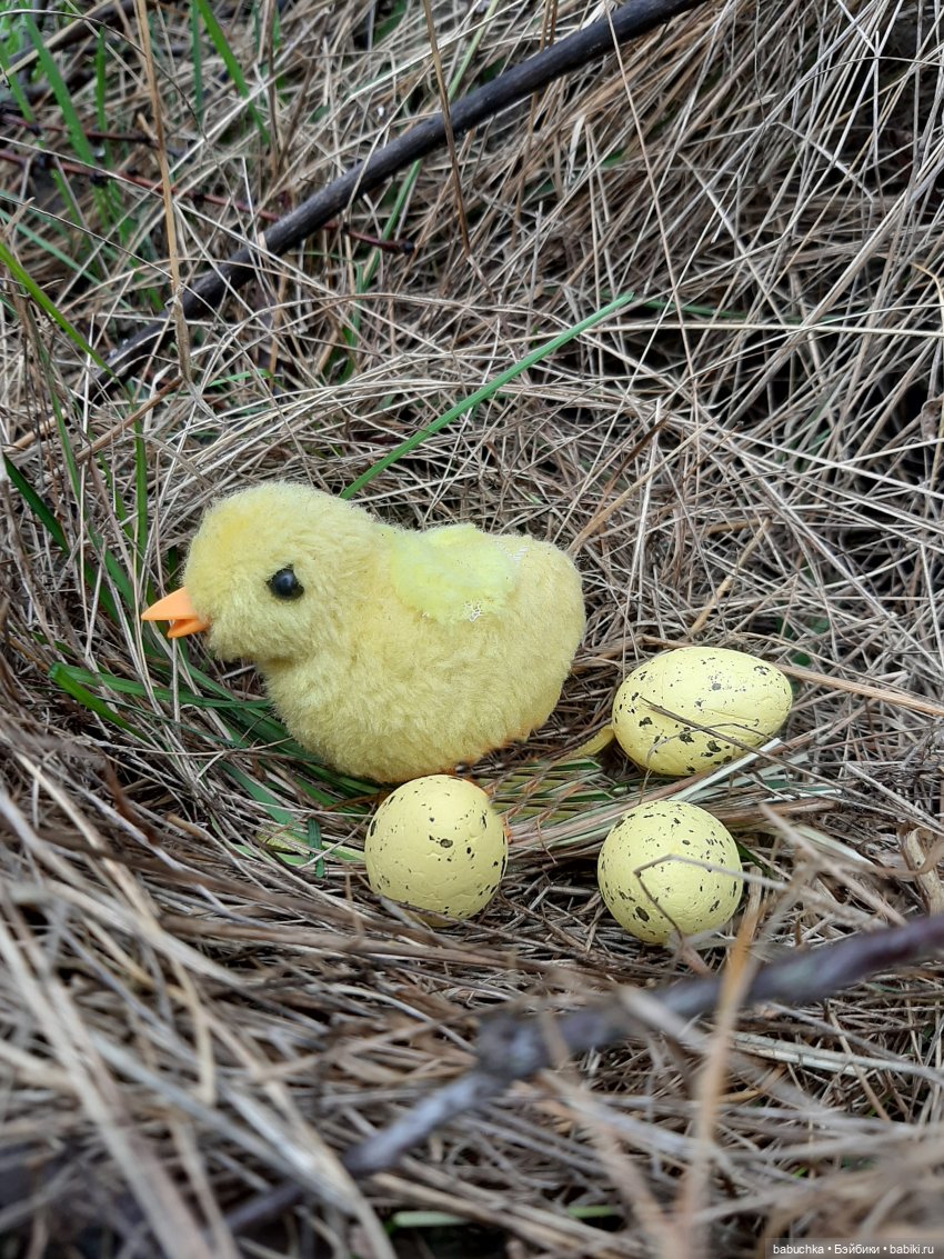 Птичница — Игровые куклы разных производителей (Разное): редкие бренды (фото 7)