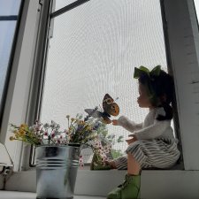 Дождь. Бабочка. Окно.