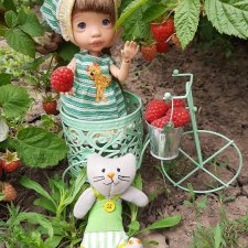 Собираем лето.