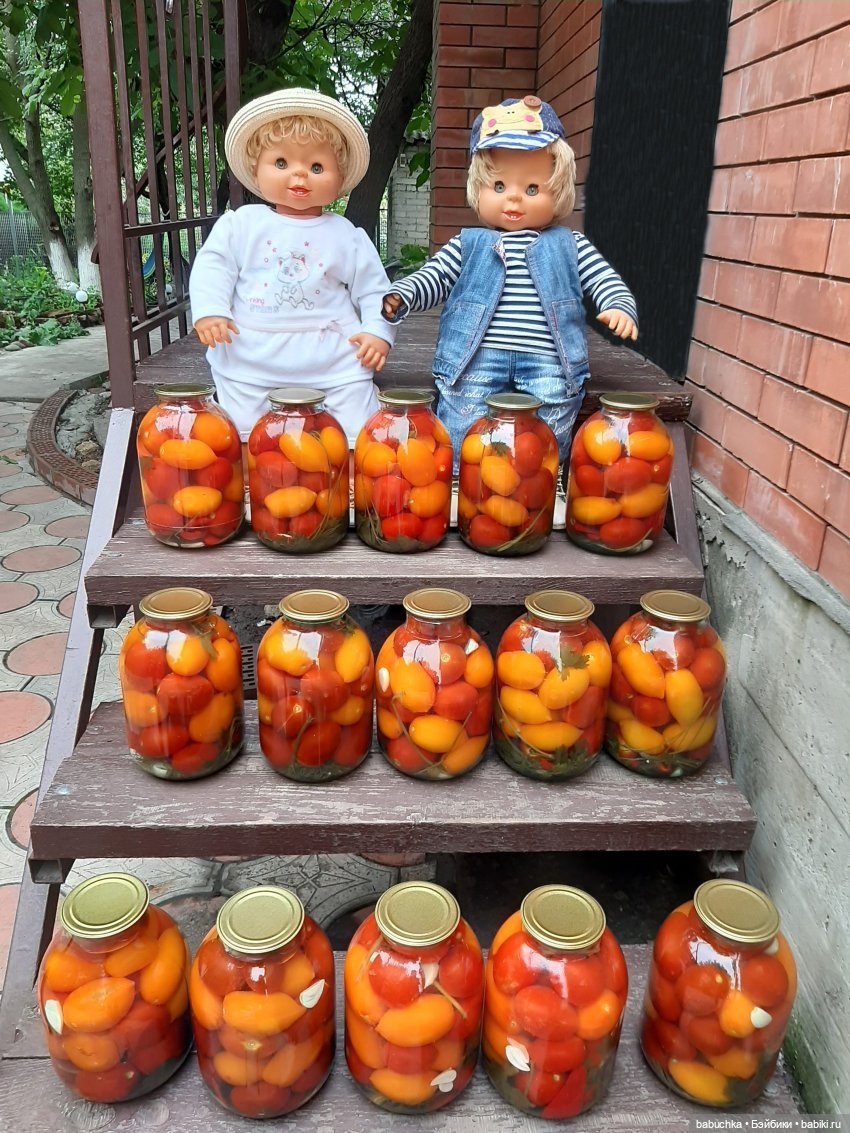 Василина — Игровые куклы разных производителей (Разное): редкие бренды (фото 2)