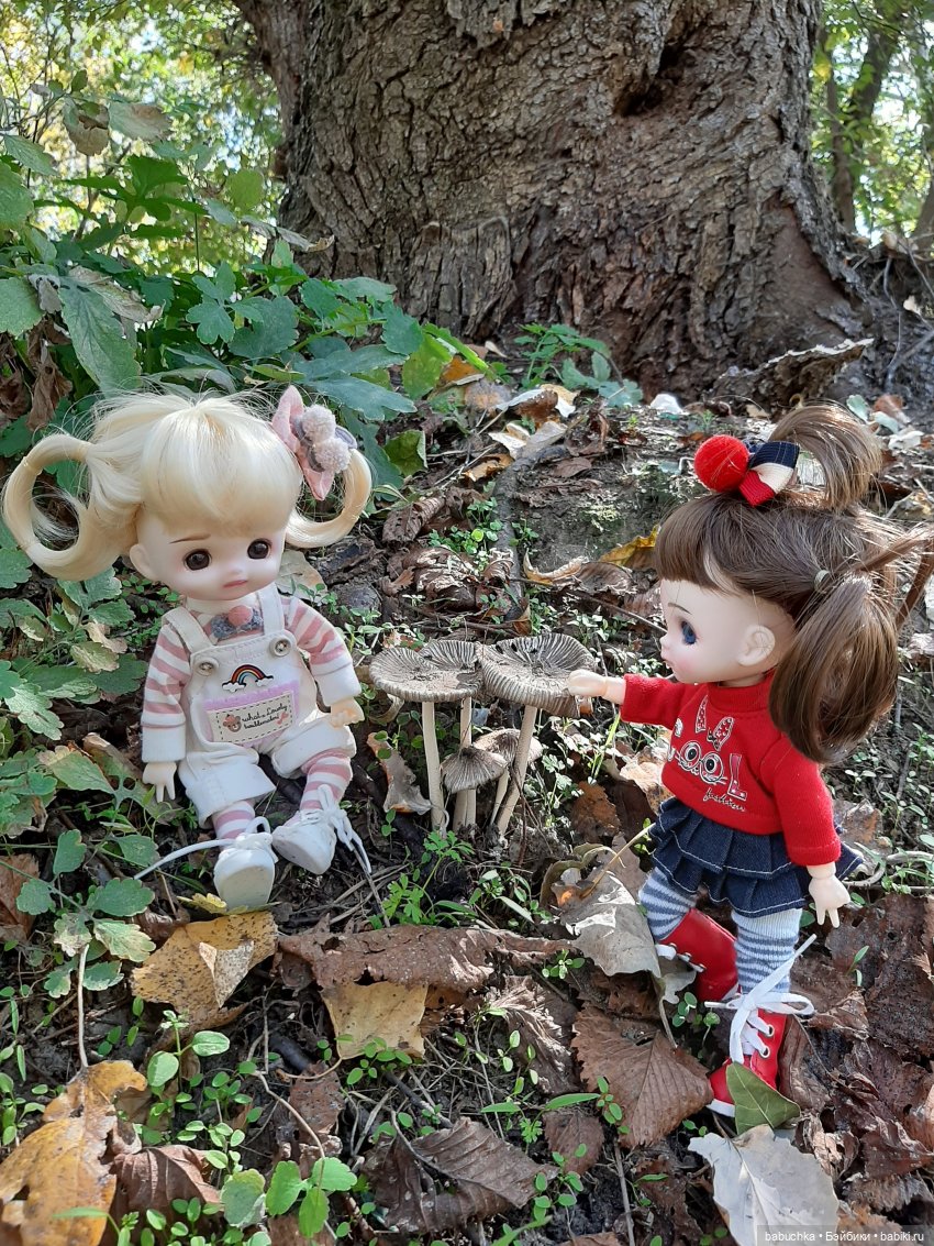 Милые шарнирные куколки Doris