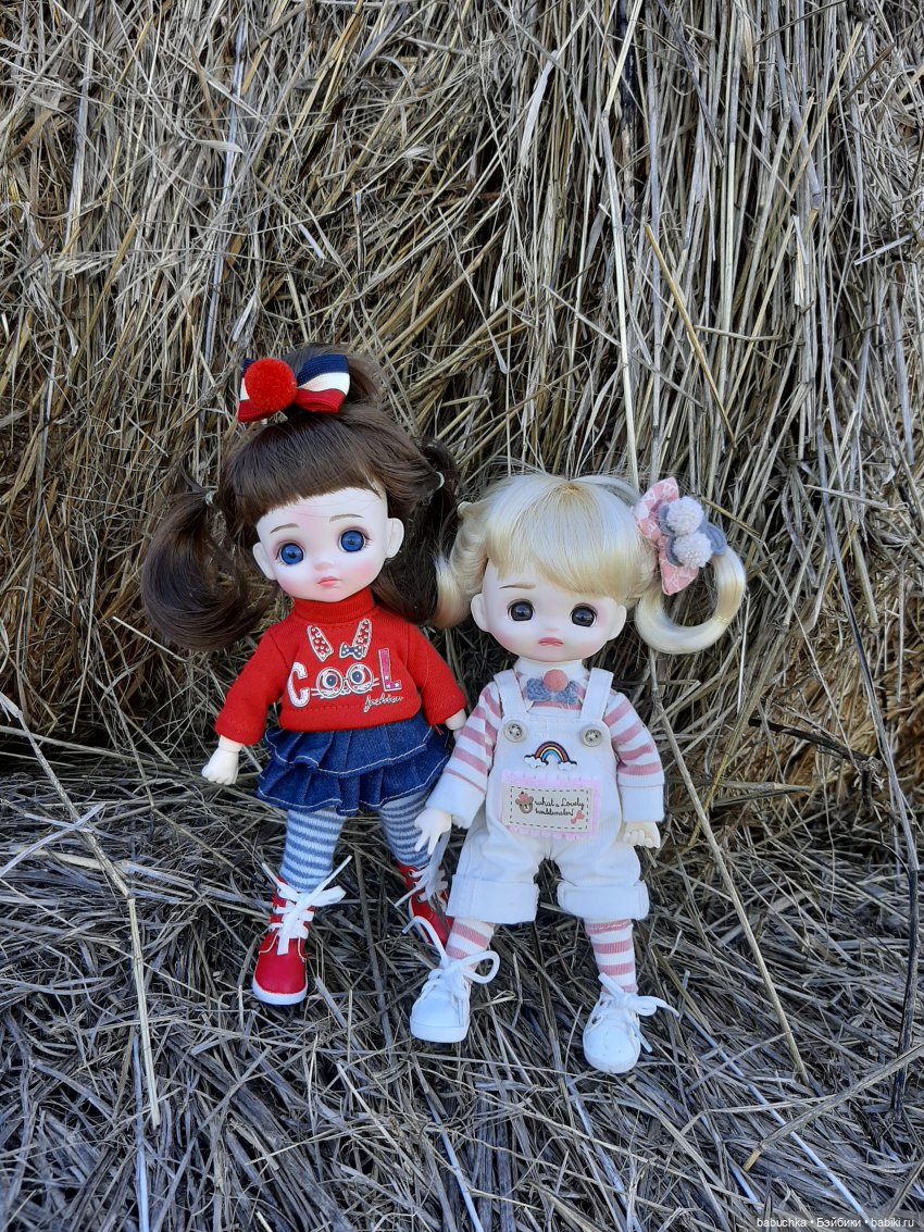 Милые шарнирные куколки Doris