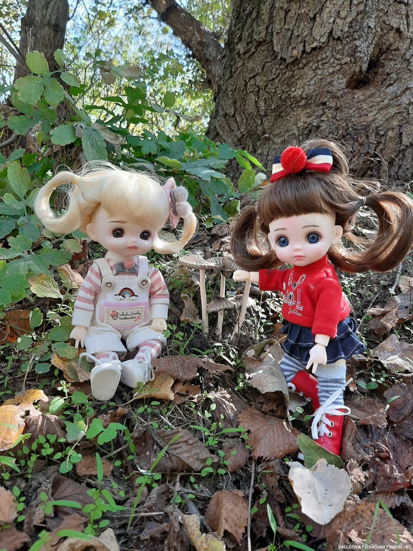 Милые шарнирные куколки Doris