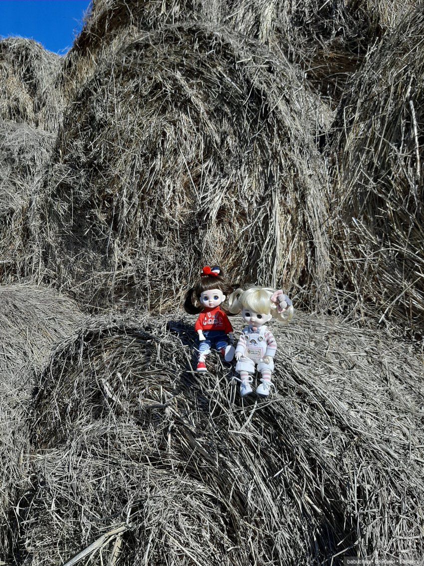 Милые шарнирные куколки Doris