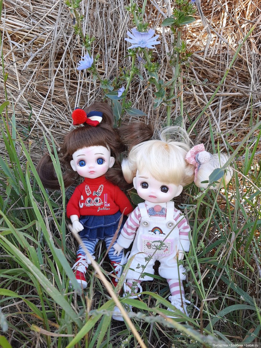 Милые шарнирные куколки Doris