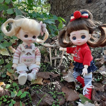 Милые шарнирные куколки Doris