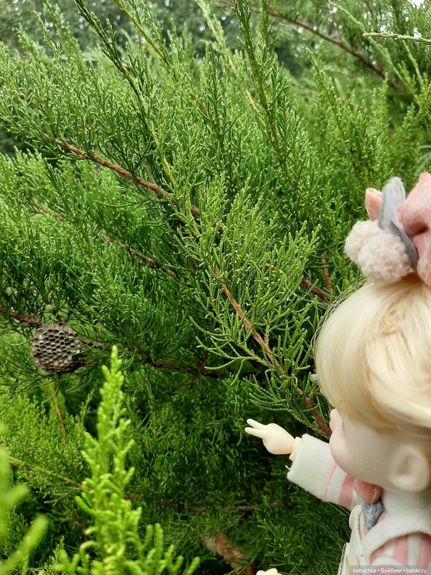 Чей дом лучше — Разные шарнирные куклы (не БЖД): редкие