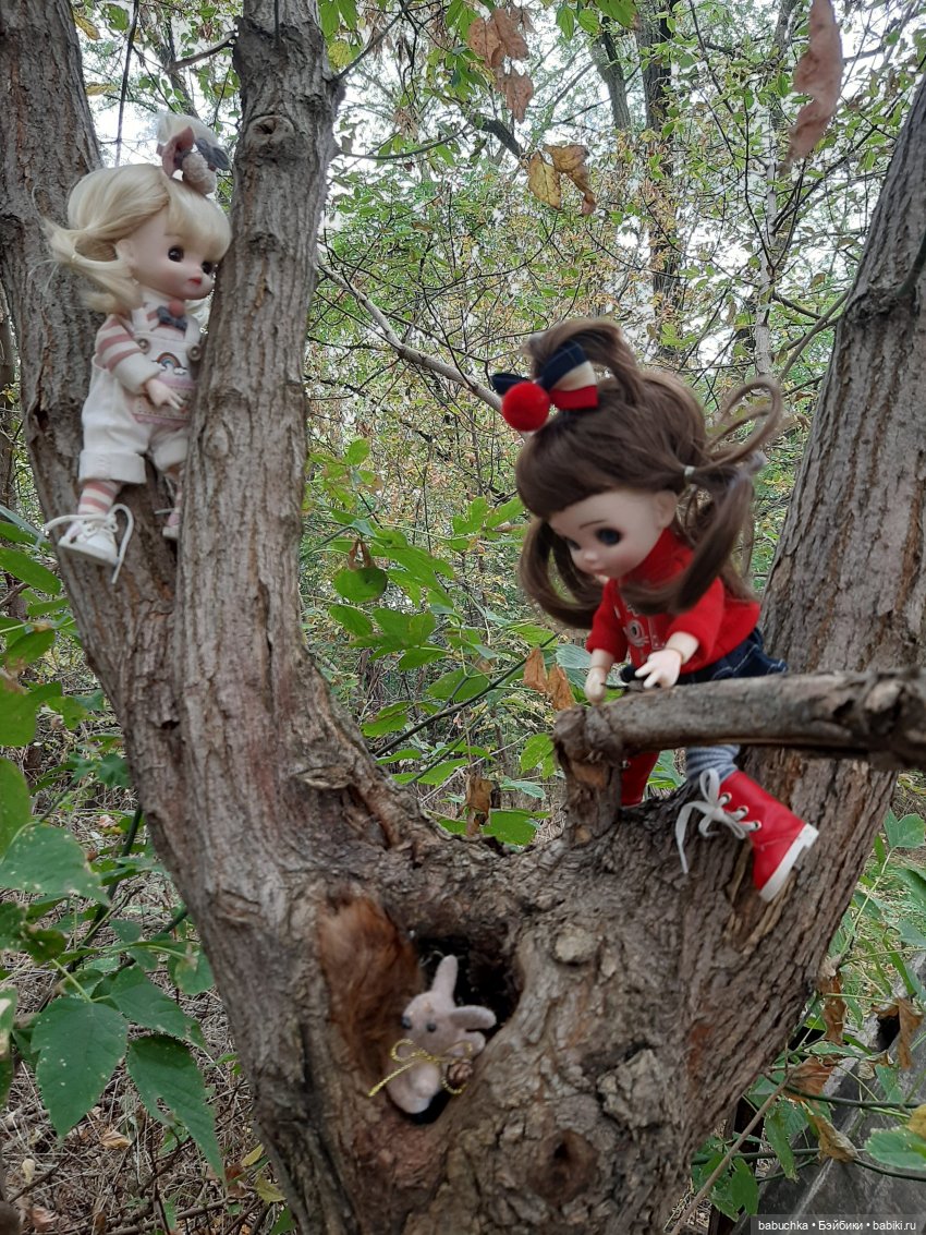 Чей дом лучше — Разные шарнирные куклы (не БЖД): редкие