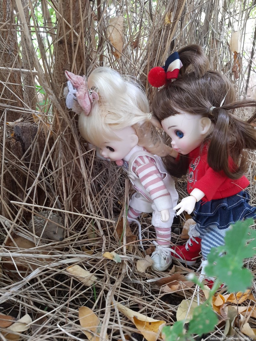 Чей дом лучше — Разные шарнирные куклы (не БЖД): редкие