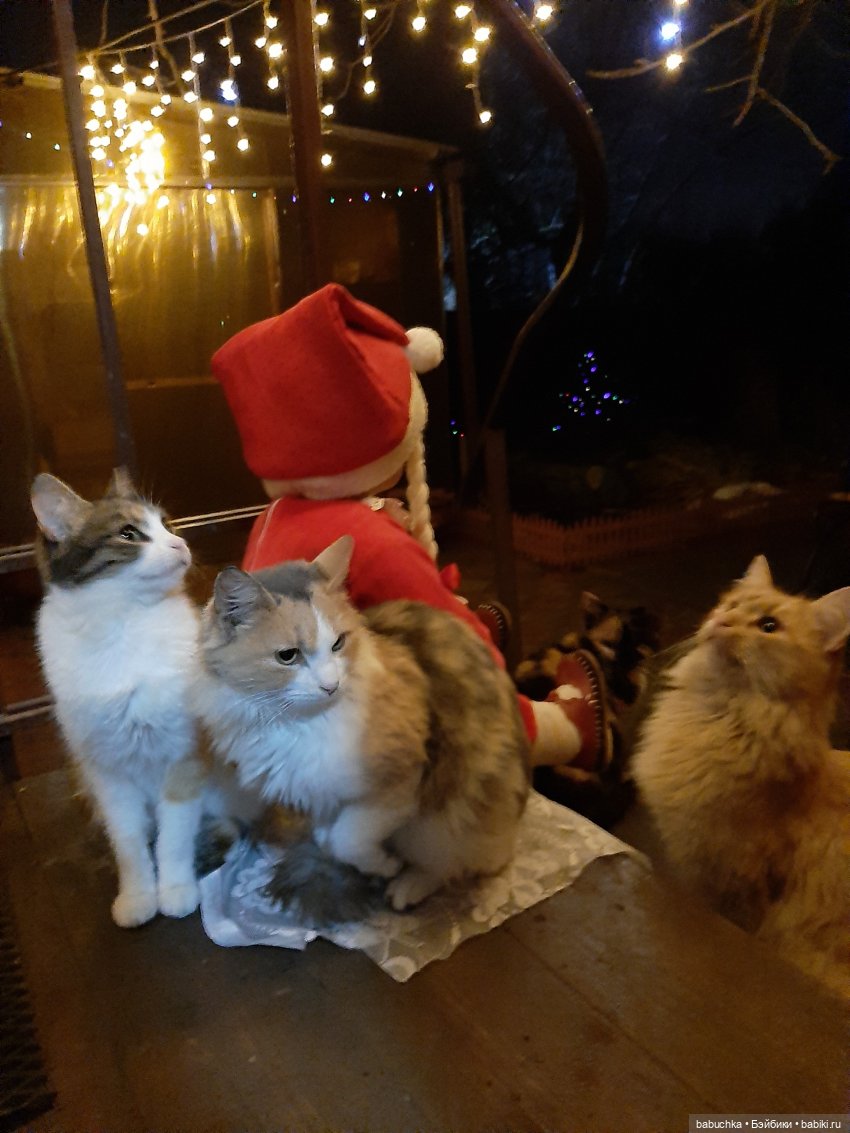 Новый год для «малышей» — Игровые куклы разных производителей (Разное): редкие бренды (фото 9)