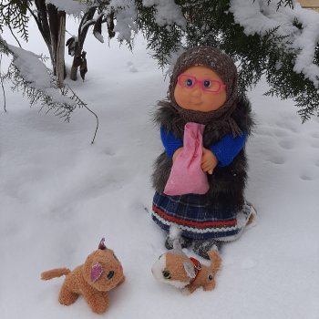 Покормите птиц зимой