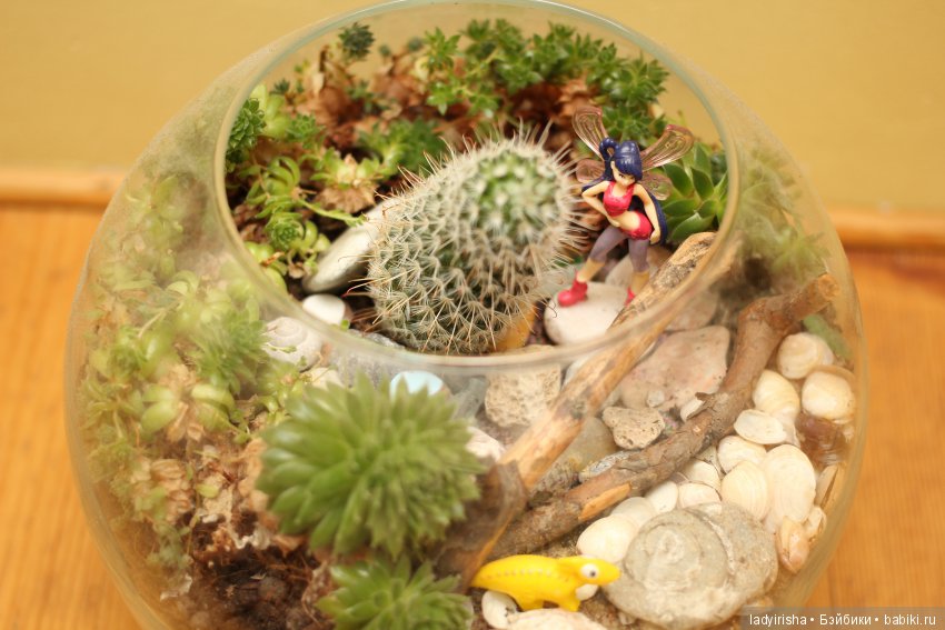 florarium ladyirisha