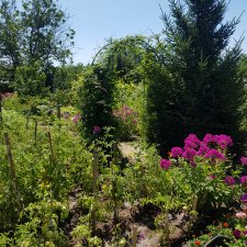 Как хорошо на даче 3