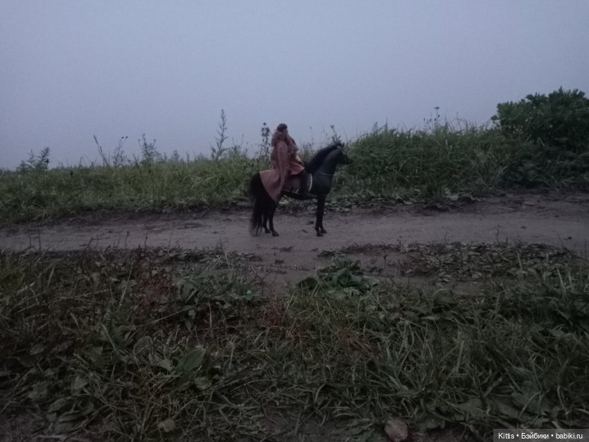 Рыцарь тумана — Куклы Phicen (TBLeague/Фицен): бесшовные тела (фото 4)