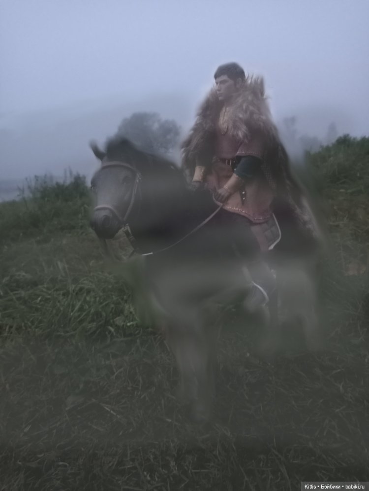 Рыцарь тумана — Куклы Phicen (TBLeague/Фицен): бесшовные тела (фото 10)