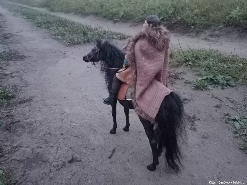 Рыцарь тумана — Куклы Phicen (TBLeague/Фицен): бесшовные тела (фото 6)