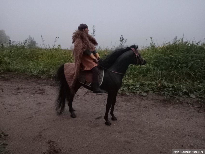 Рыцарь тумана — Куклы Phicen (TBLeague/Фицен): бесшовные тела (фото 3)