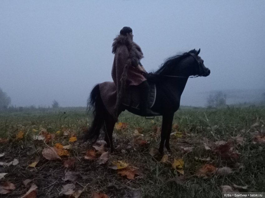 Рыцарь тумана — Куклы Phicen (TBLeague/Фицен): бесшовные тела (фото 2)