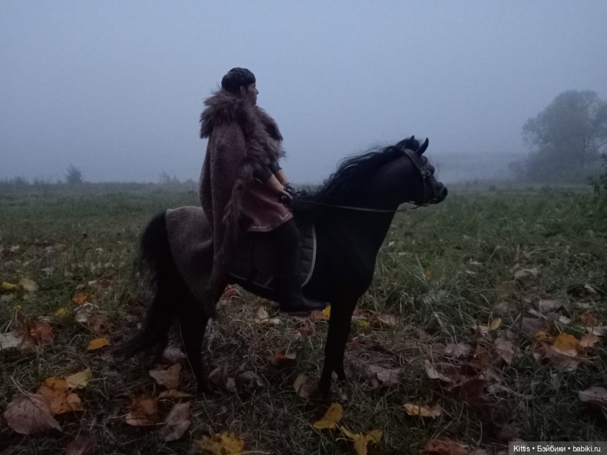 Рыцарь тумана — Куклы Phicen (TBLeague/Фицен): бесшовные тела