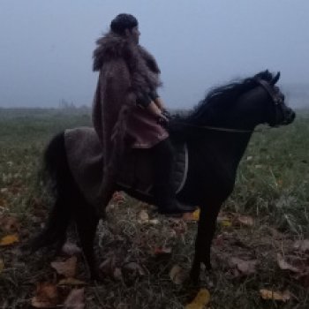 Рыцарь тумана