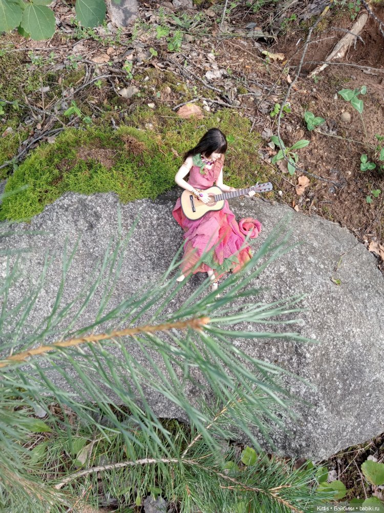 Цыганочка или Графиня-Цыганка