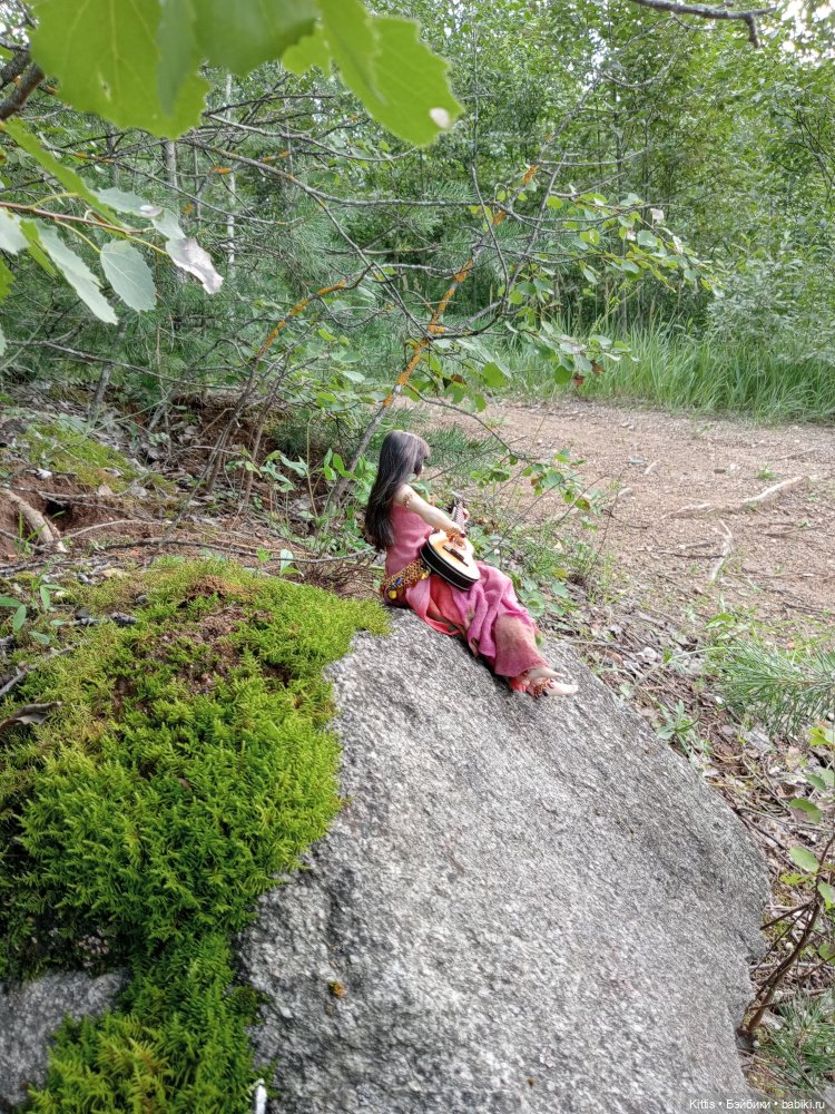 Цыганочка или Графиня-Цыганка (фото 6)