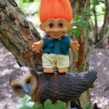 Лесные приключения Оранжика и Совуньи