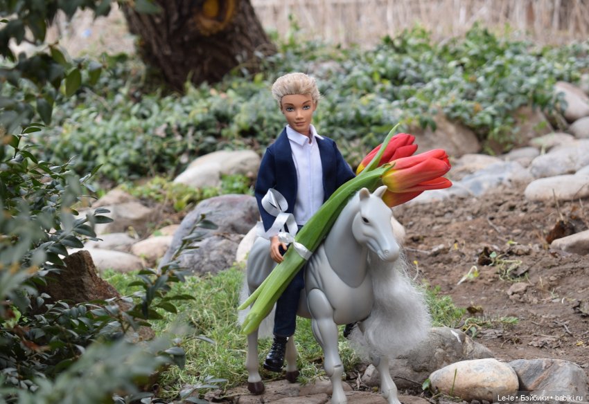 Поздравления от принца на белом коне (Лукоморье. Сага)